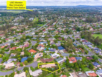 20 Wyara Court, Petrie