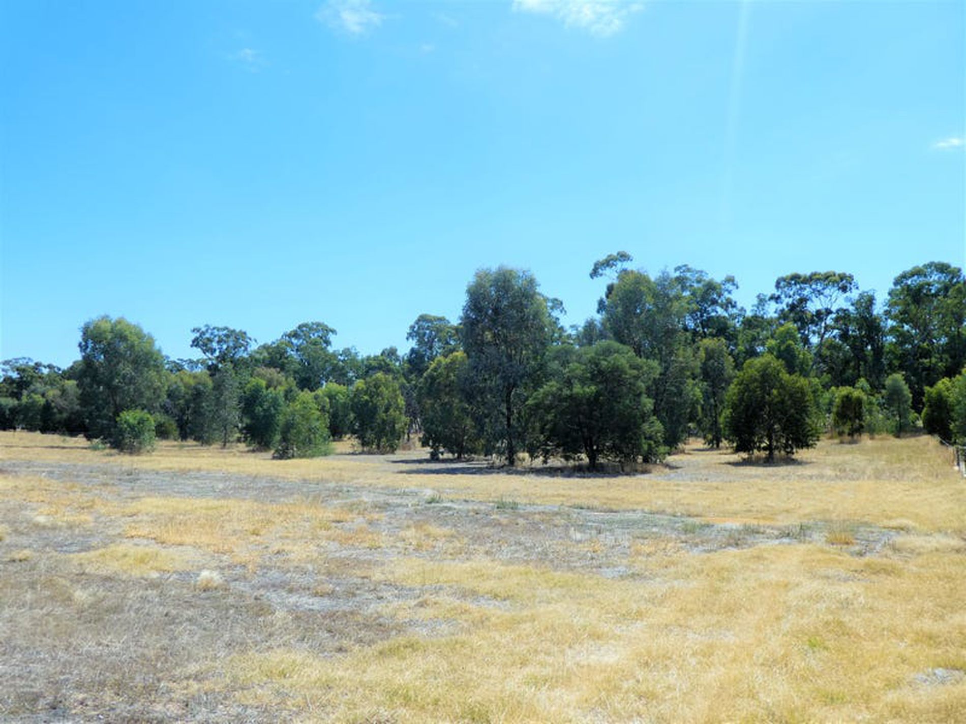 5 Bush Pea Dr, Seymour