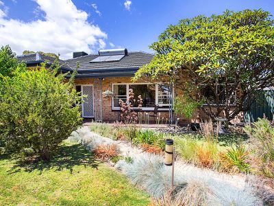 20 Bourlang Avenue, Camden Park