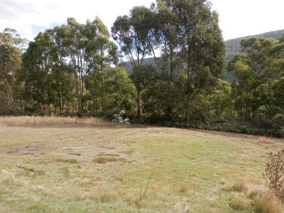 1205 Pelverata Road, Pelverata