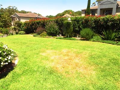 27 Parrish Avenue, Mount Pleasant