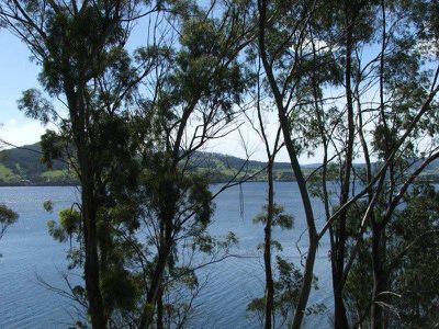 59 Chuter Street, Deep Bay