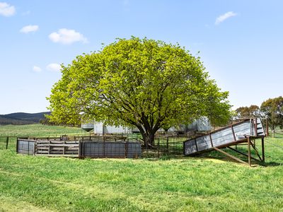 1444 Hoskinstown Road, Hoskinstown