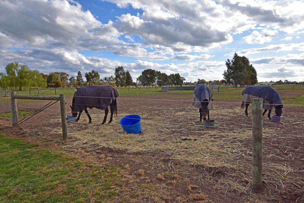 58 Everard Road, Kyabram