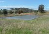 * Packham Drive, Molong
