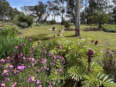 2 Alice Street, Dunolly