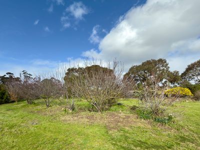 Lot 37, Ross Street , Furner