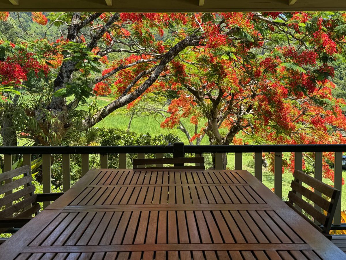 197 Palmwoods Road, Palmwoods