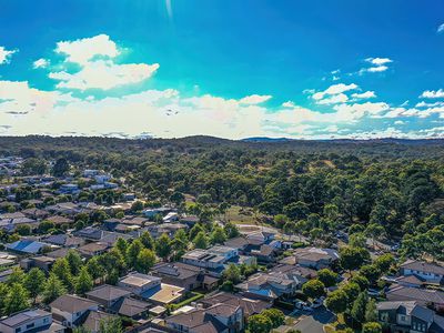 12 DENOON STREET, Forde