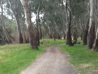 . Reserve Road, Wahgunyah
