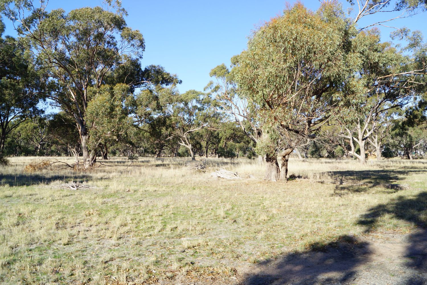 593 Horsham-Noradjuha Road, Lower Norton