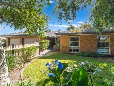 11 Indigofera Way, Langwarrin
