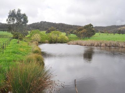 Beechworth-Wodonga Road, Wooragee