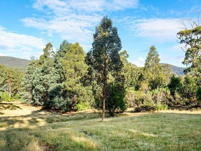 178 Middle Road, Pelverata