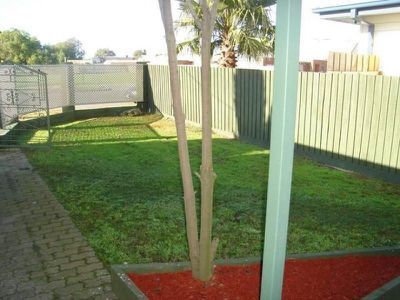 1 / 37 Seabeach Parade, North Shore