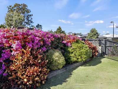 22 Lakeview Road, Morayfield
