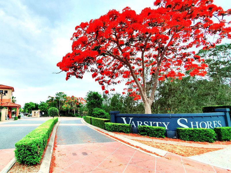 4 University Drive, Robina