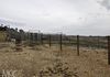 660 Kerrs Creek Road, Kerrs Creek