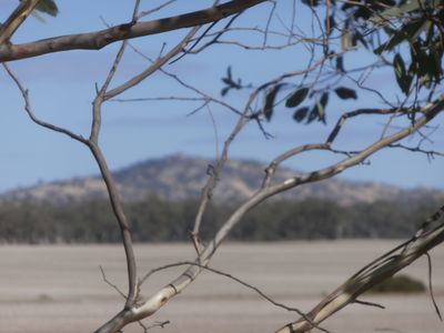 1 Abbott Road, Wedderburn Junction