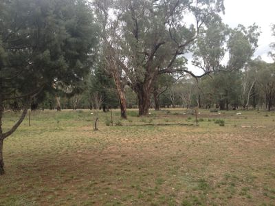 33 Wattle Road, Elong Elong
