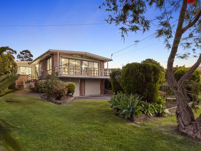 13 Dahlia Street, Dromana
