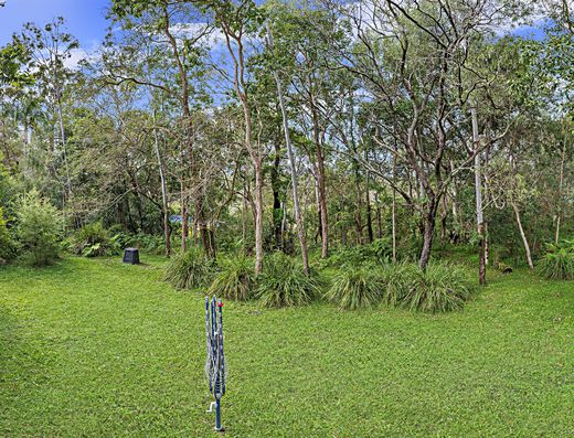 Old Tewantin, river access, shared Jetty, bushland setting! image 16