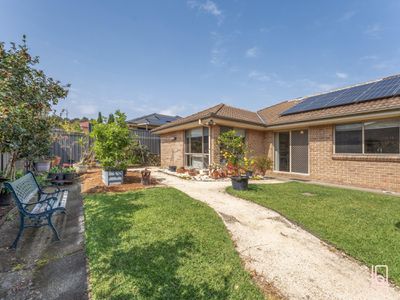 55 Mebbin Circuit, Woongarrah