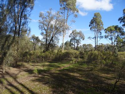 15 Moran Court, Graytown