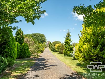 6 Surrey Park Court, Glen Innes