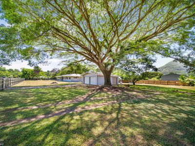 69-71 Dempsey Street, Gordonvale