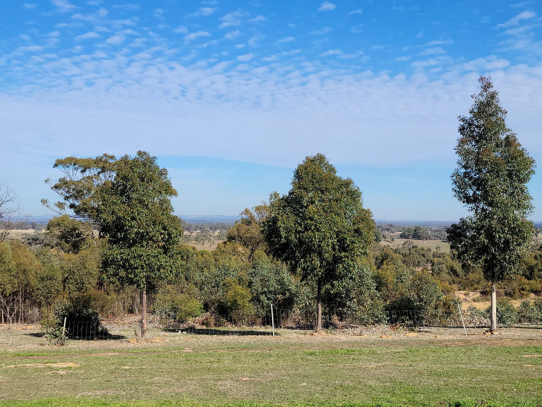 93 Axedale Quarry Road, Axedale