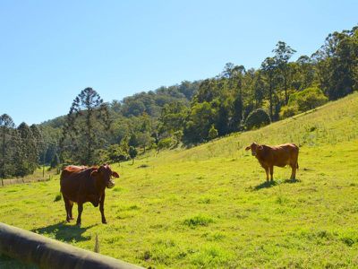 345 Harpers Creek Road, Conondale