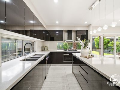 6 Driftwood Street, Box Hill