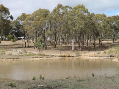 111 Rushall Road, Heathcote
