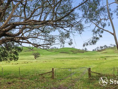 260 & 310 Mt William Road, Goldie