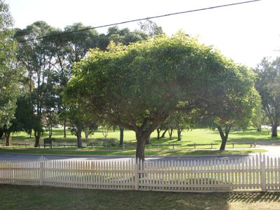 83 Ventnor Street, Scarborough