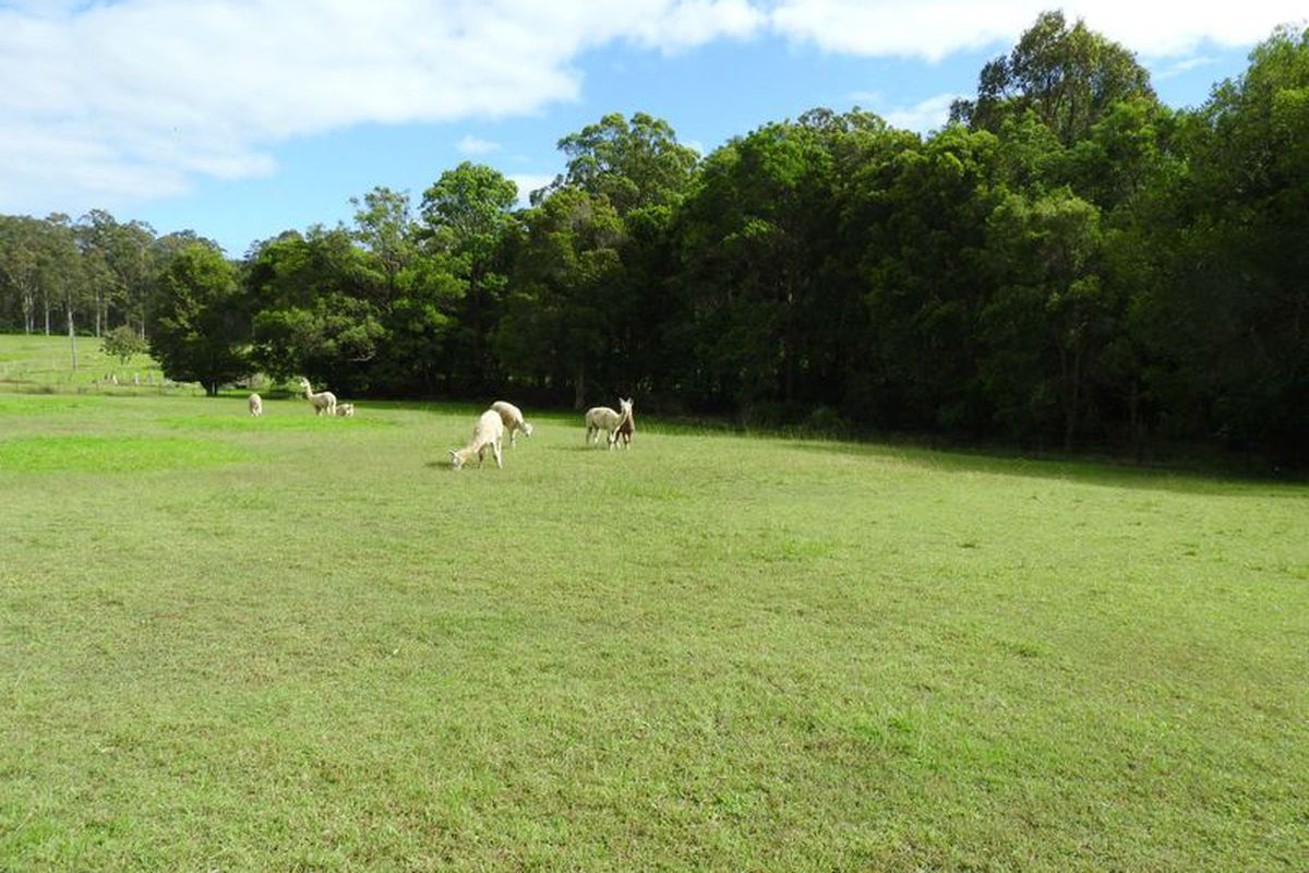 51 Denva Road, Taree