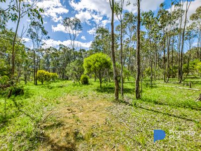282 OBriens Drive , Mcintyre