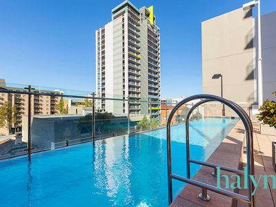 11 / 155 Adelaide Terrace, East Perth