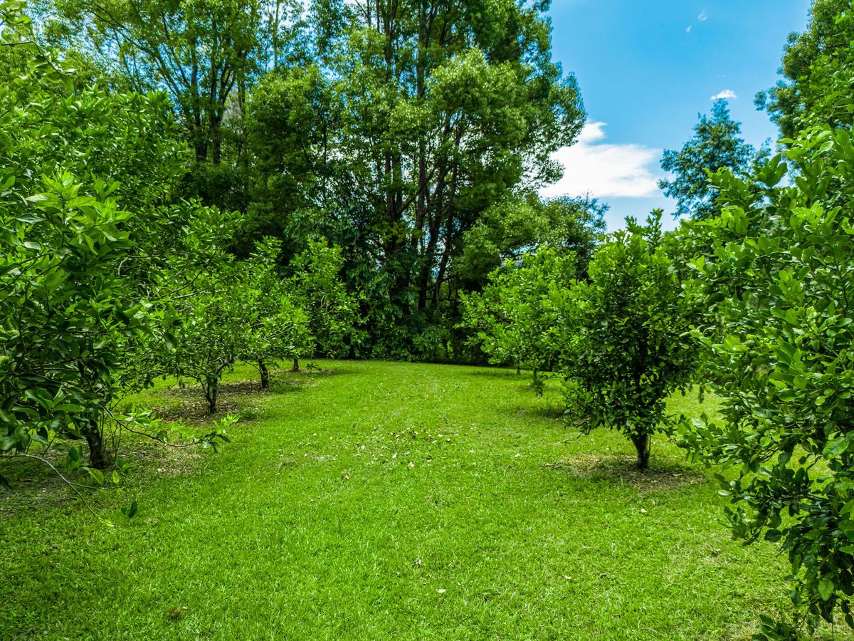 722 Main Arm Road, Main Arm