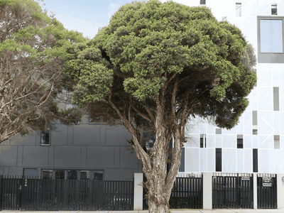6 / 54 St Leonards Road, Ascot Vale