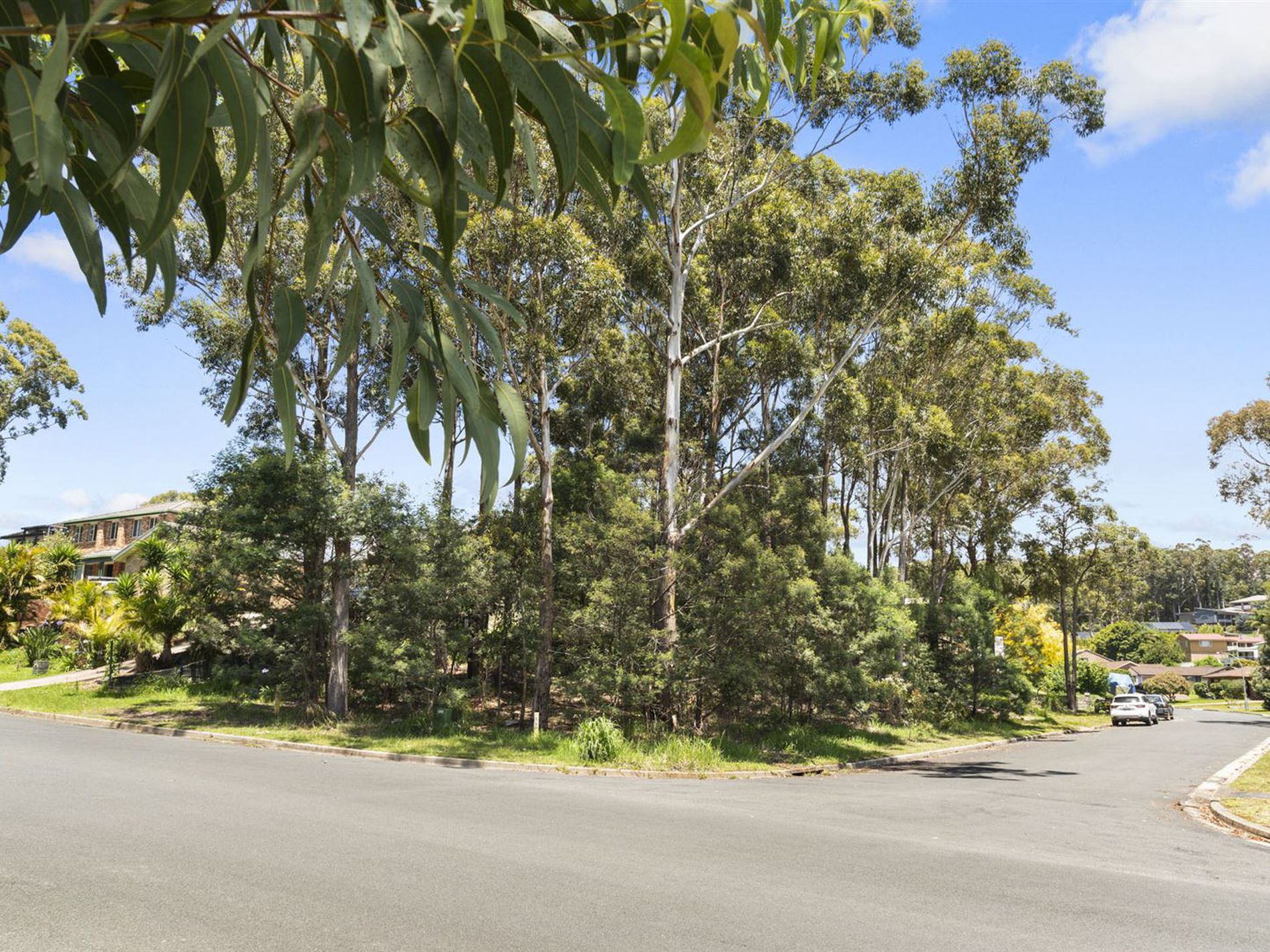 55 Leo Drive, Narrawallee