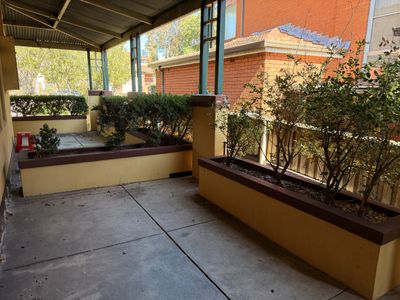 2 / 3 Arthursleigh Street, Burwood