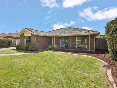 32 Country Club Avenue, Prospect Vale