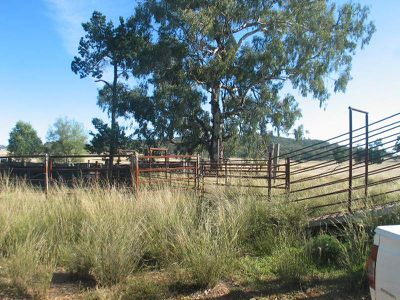 2234 Wandobah Road, Gunnedah