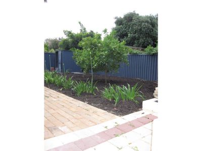 28 Stringy Bark Ramble , Willetton