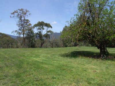 275 Mountain Creek Road, Tawonga