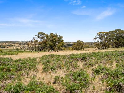 171 Boongarra Road, Laggan via, Crookwell