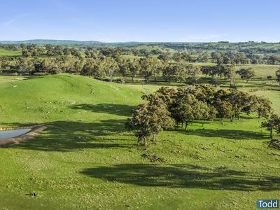 Watkins Lane, Heathcote