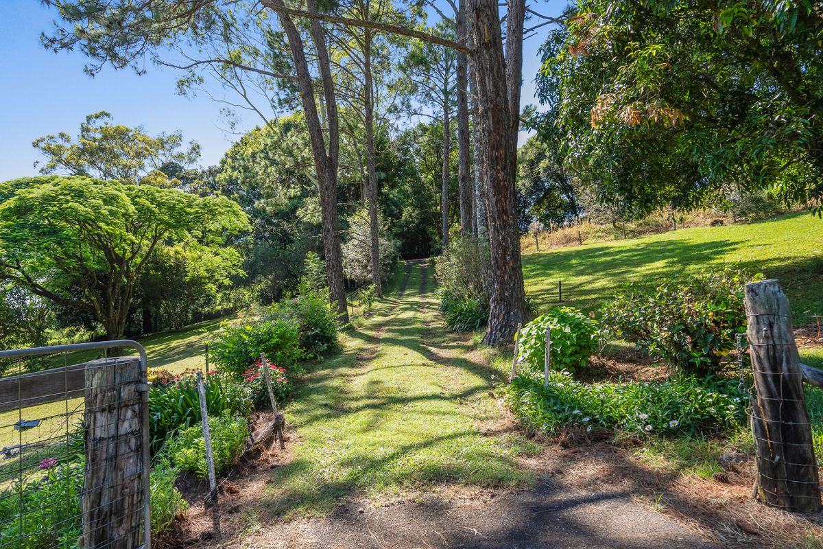 8 Eureka Road, Rosebank